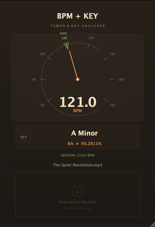 BeatScan Plugin Interface